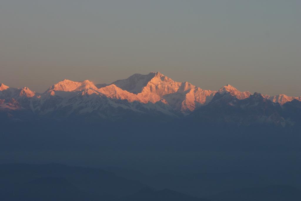 Country house Ging Tea House Darjeeling (West Bengal)