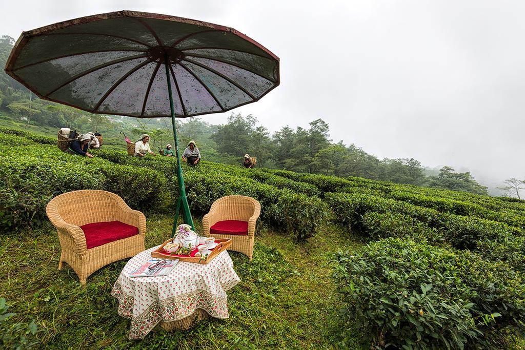 Country house Ging Tea House Darjeeling (West Bengal)