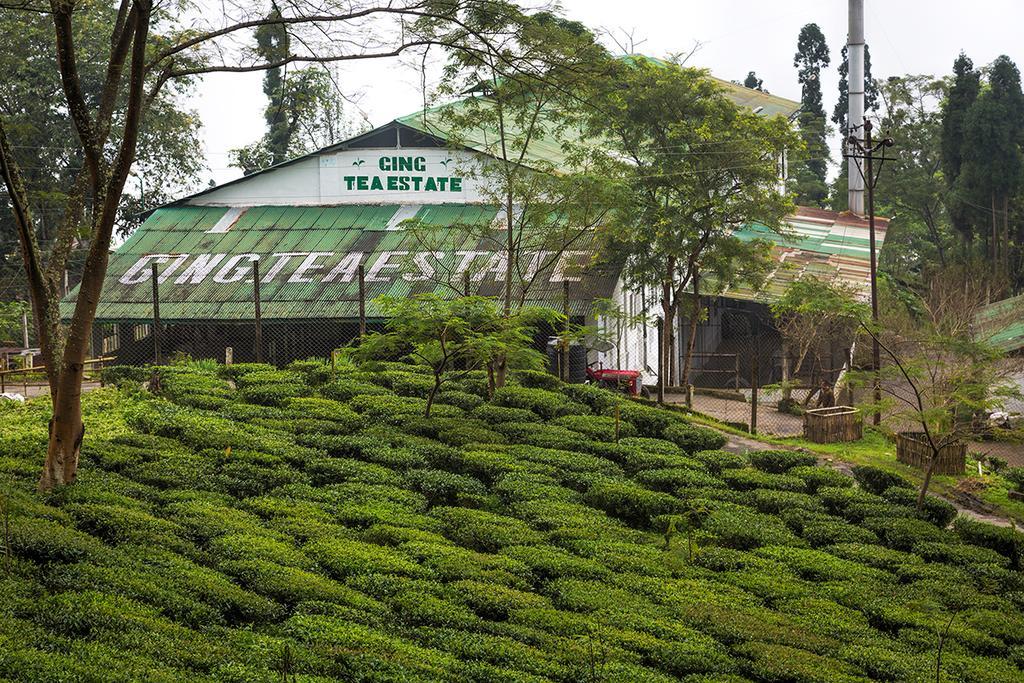 Ging Tea House Darjeeling (West Bengal)